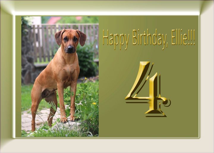 Ellie 4 years